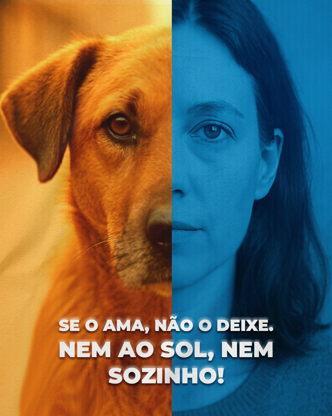 Imagem_animaisv2.png