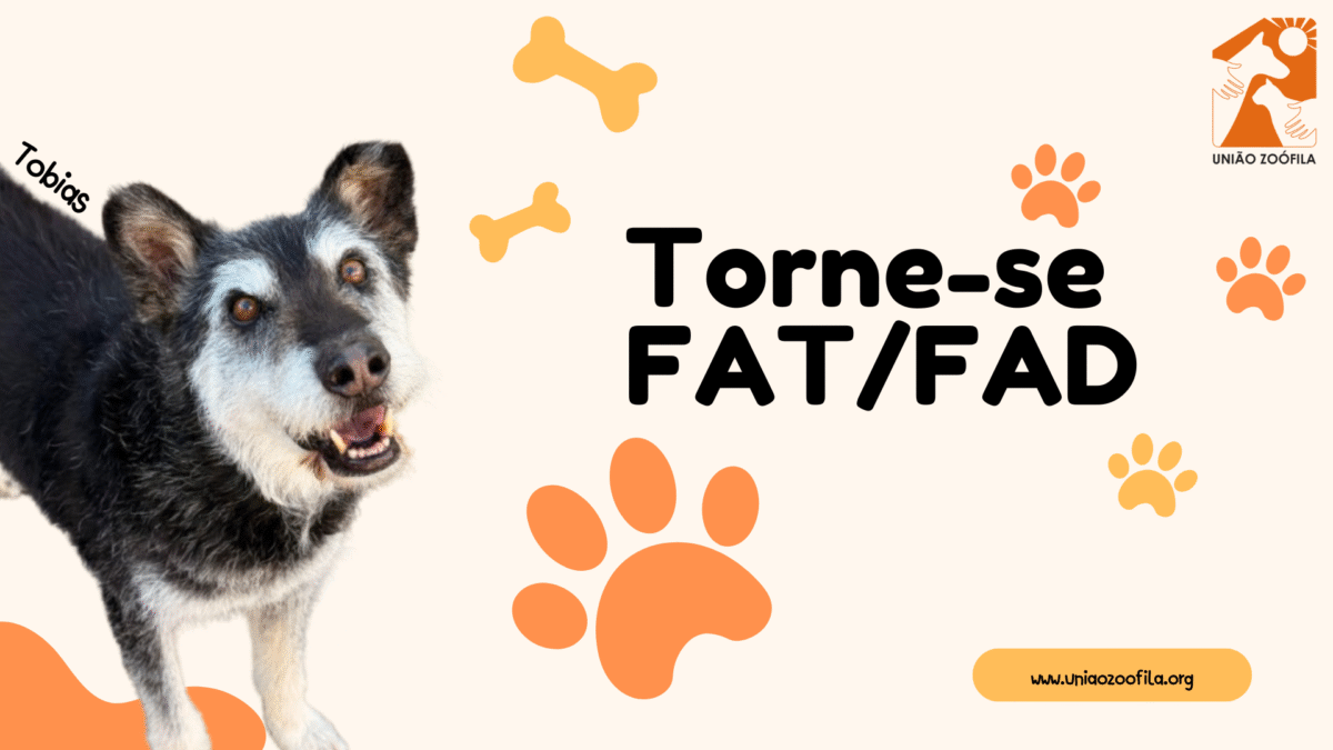 Torne-se-FATFAD-1200x675.png
