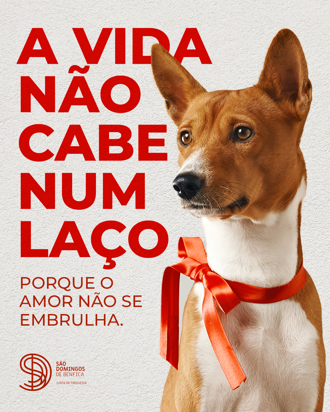 post_A-VIDA-NA╠eO-CABE-NUM-LAC╠oO.png